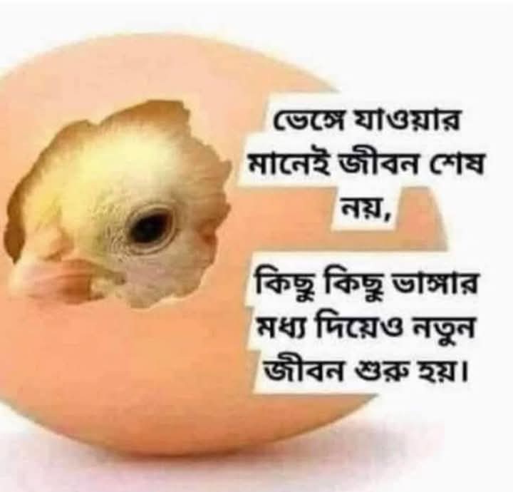 Jahangeer Anam (@anam84j) on Twitter photo 