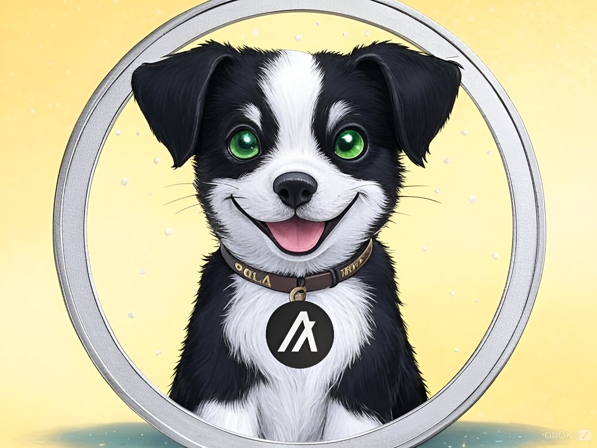 OglaonAlgo's tweet image. The Dev is here!  
YES! Pera ASA Verification is big ✨
We never plan to profit on a single token before Major CEX Listings. (You can track on Pera Explorer)

 Let them trade on the way but HODL your future 🔮

There won't be any other mirror effect Ticker of ALGO as OGLA is the…