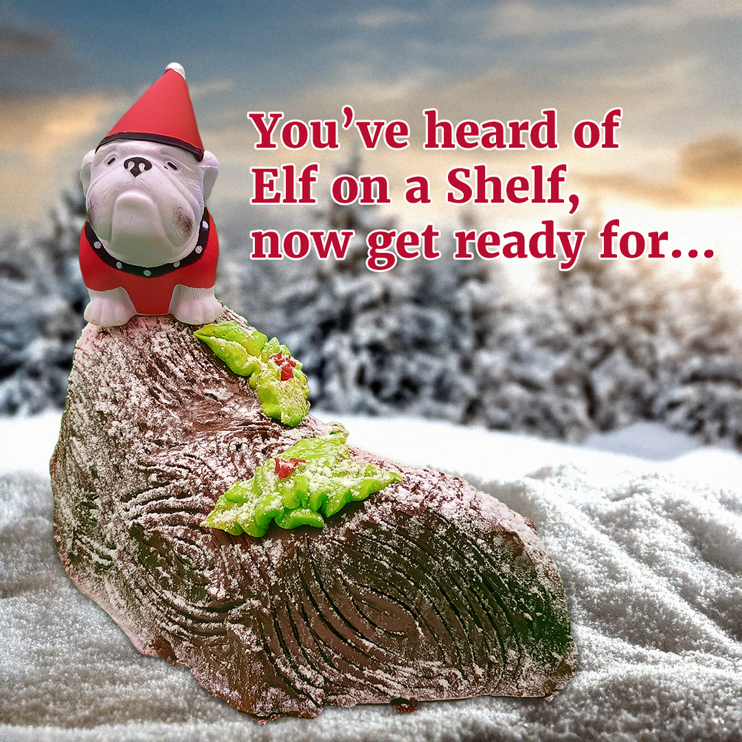 Happy holidays from #EduDawg and the #MFECOE community! We wish you a joyful holiday season and look forward to seeing how our community thrives in the new year.