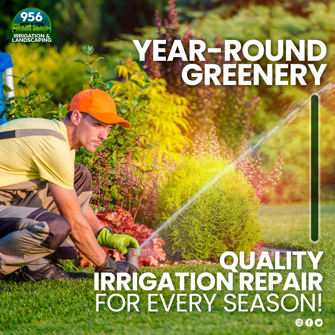 956Irrigation's tweet photo. Keep your landscape looking great every season. We repair irrigation systems to guarantee your plants get the right amount of water, no matter the weather.

𝐖𝐞𝐛: https://t.co/8tT1O2I5HU
𝐏𝐡: (956) 222-8866

#landscape #lawncare #lawn #garden #gardening #garden https://t.co/aYxrtiK6u9