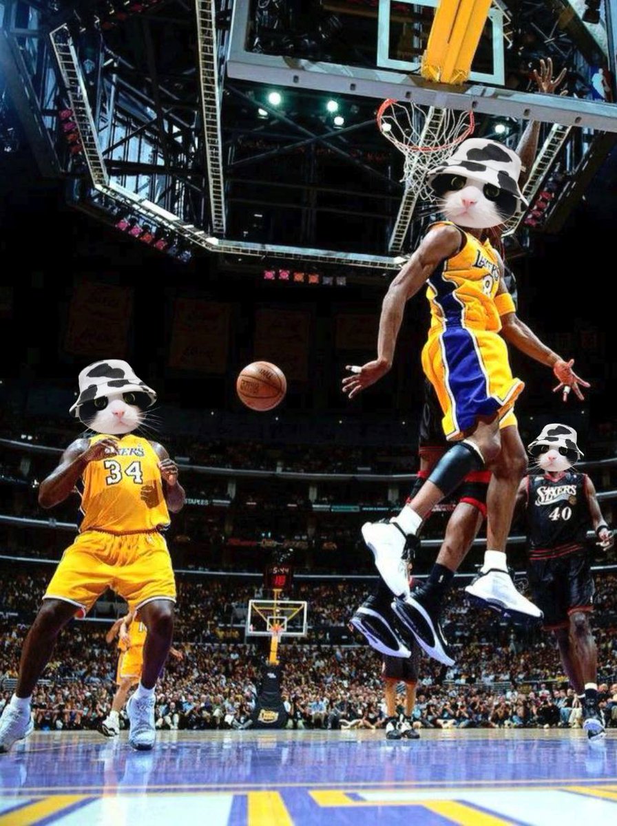 GMOO! 

IT'S SHOWTIME FOR $MOOCAT!