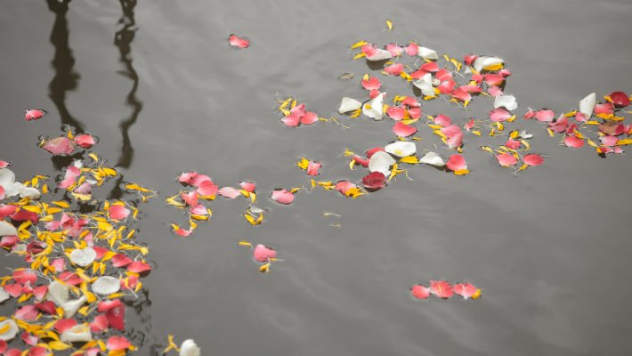Goed gesprek gehad met de heer Bridjmohan, die initiatiefnemer is van een as-strooiplek in Den Haag. De gemeenschap wil heel graag een locatie aan zee om bloemen en as te strooien. Met <a href="/RicharddeMos/">Richard de Mos 💚💛</a> ga ik binnenkort in gesprek met een aantal religieuze organisaties uit de stad.