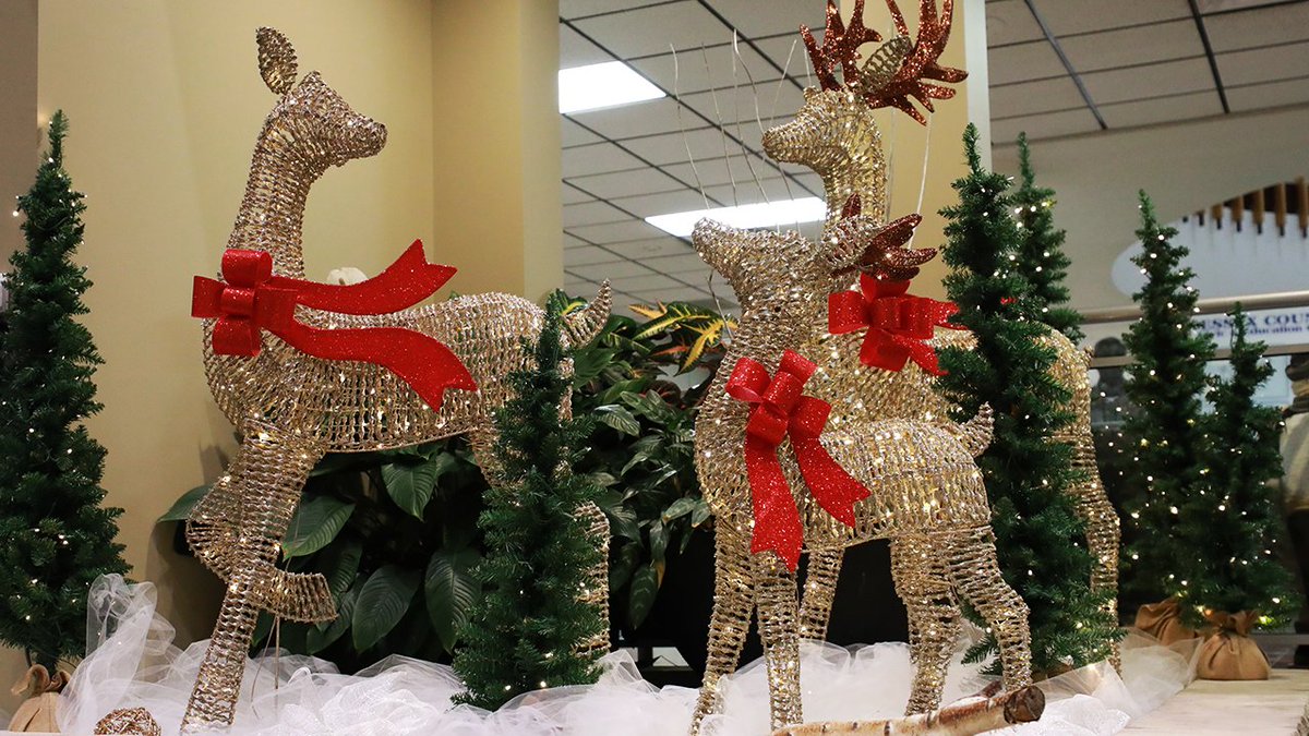 County of Essex tweet media