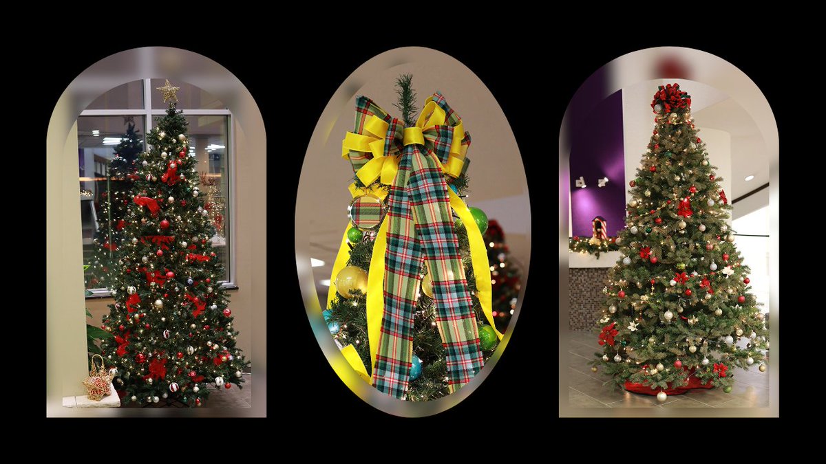 County of Essex tweet media