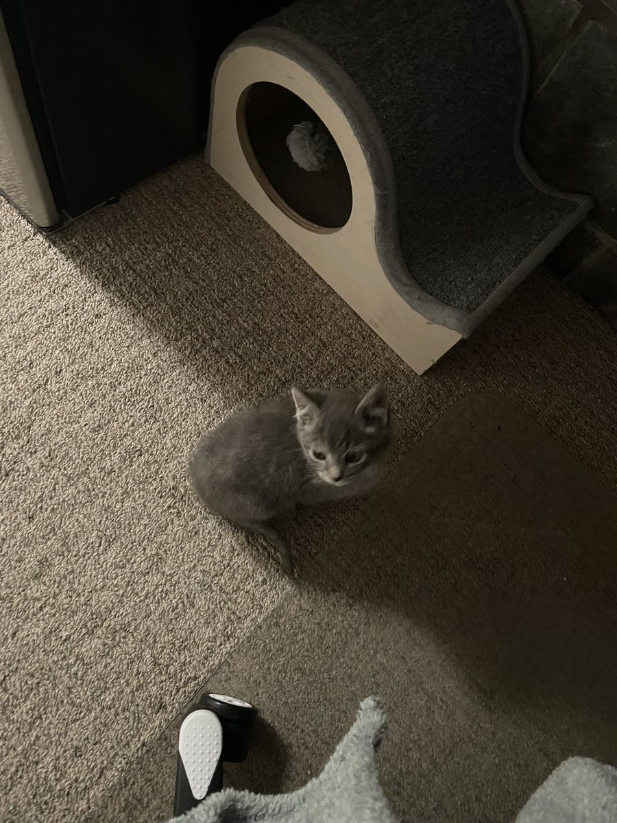 EC_Universal tweet media