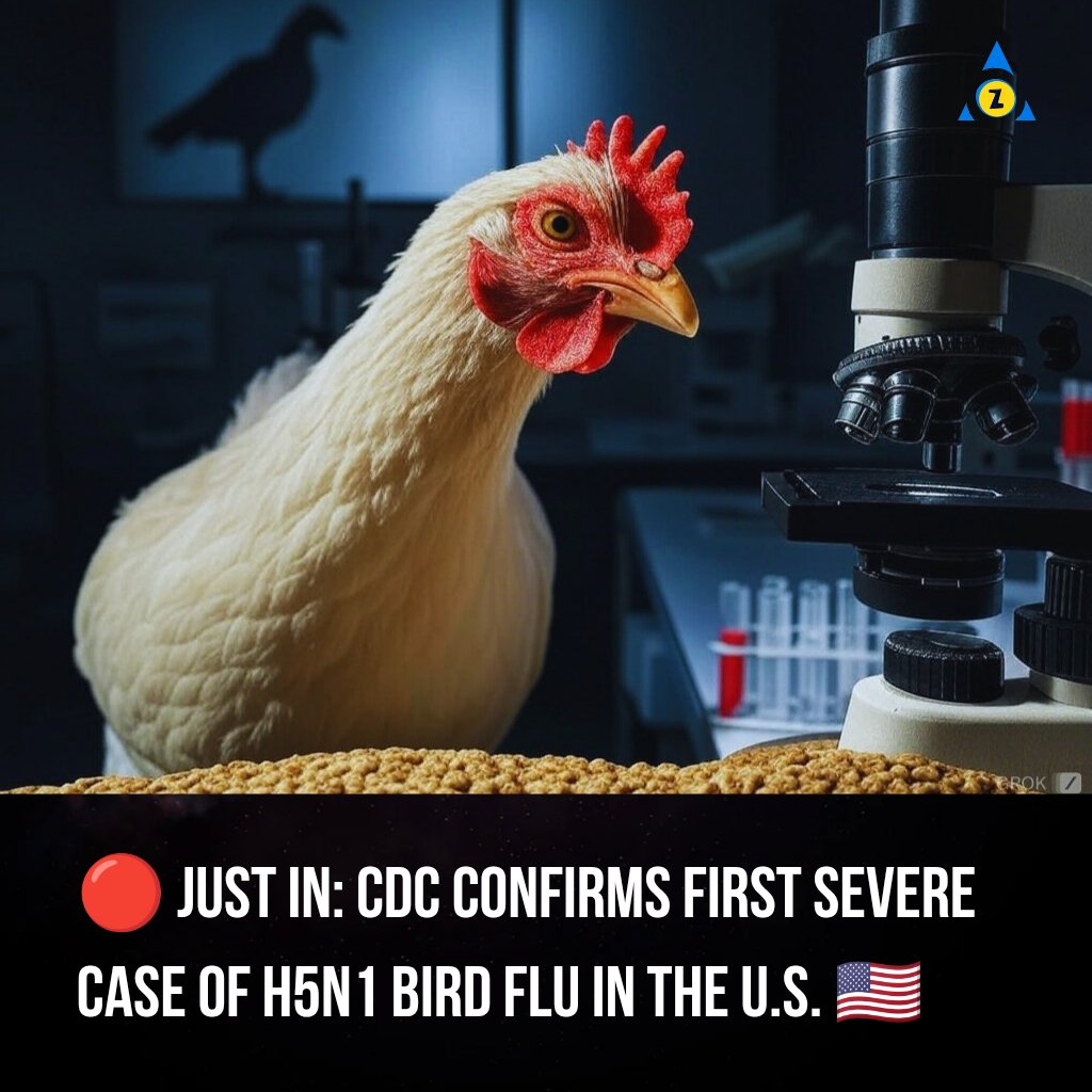 TheAgeOfGenZ's tweet photo. Experts raise alarms as H5N1 bird flu emerges in America, sparking urgent public health concerns.
#BirdFlu #H5N1 #CDCAlert #USHealth #PublicHealthCrisis #Christmas https://t.co/7yR0Y228H7