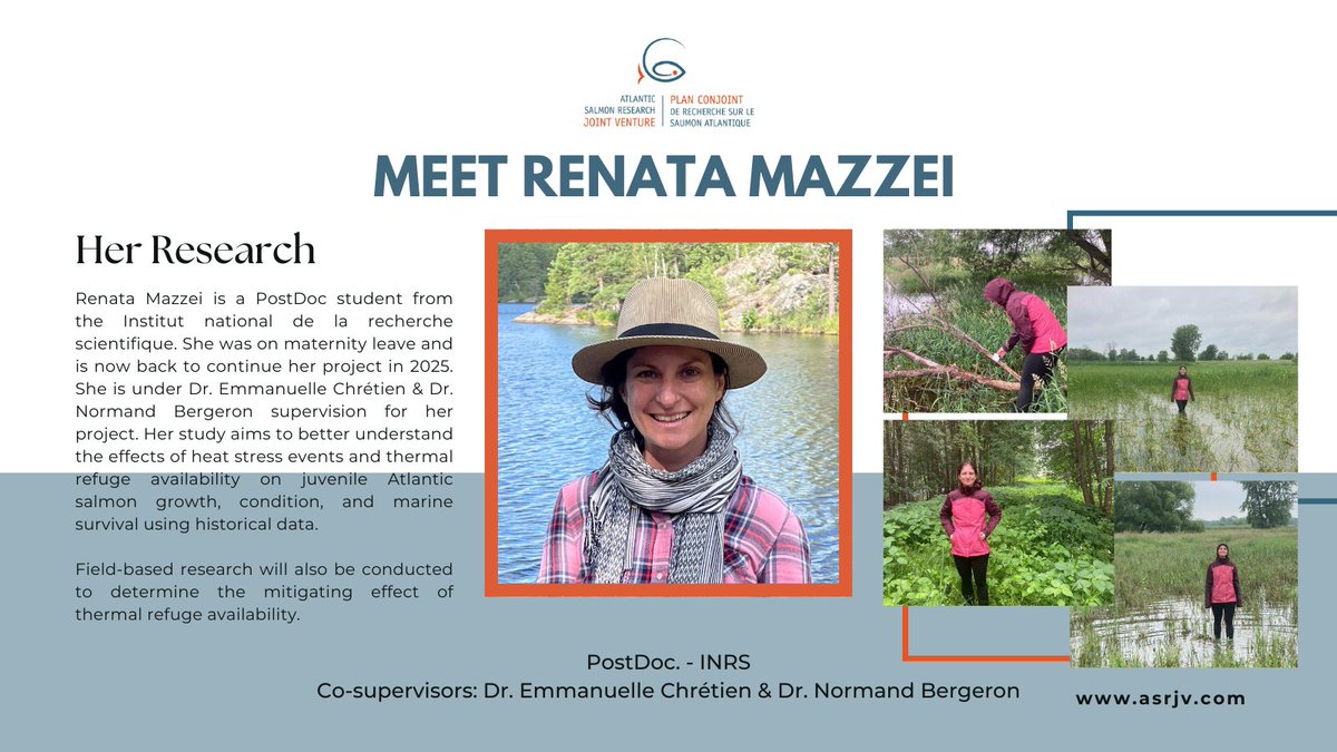 🐚 Meet Renata Mazzei from our Student-HUB. 🐚

One of our students who's working on their PostDoc that focuses on the effects of heat stress events and thermal refuge availability on juvenile Atlantic salmon growth, condition, and marine survival.

Read more below:
