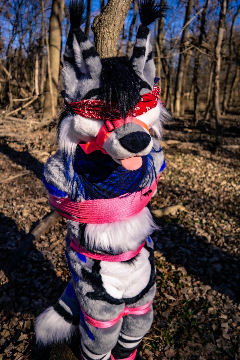 HowL 🍁 🔜 FWA, AC tweet media