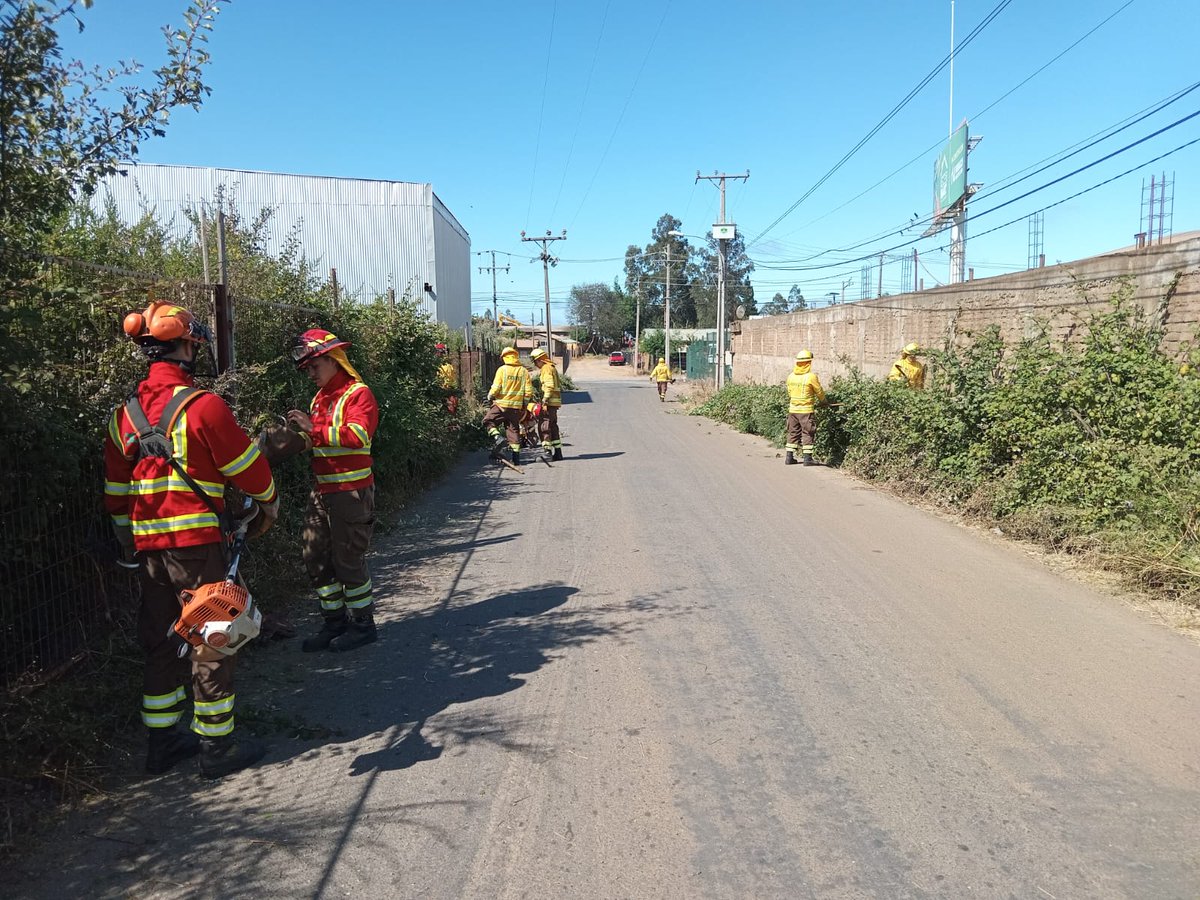 conaf_maule's tweet photo. 📍 #Constitución

Hoy durante la mañana realizamos operativo de limpieza y construcción de líneas preventivas en Villa Millauquén junto a la Brigada Maqui 9 y Skidders de Conaf, Junta de Vecinos y Red de Prevención. https://t.co/1RgvyP9Q65