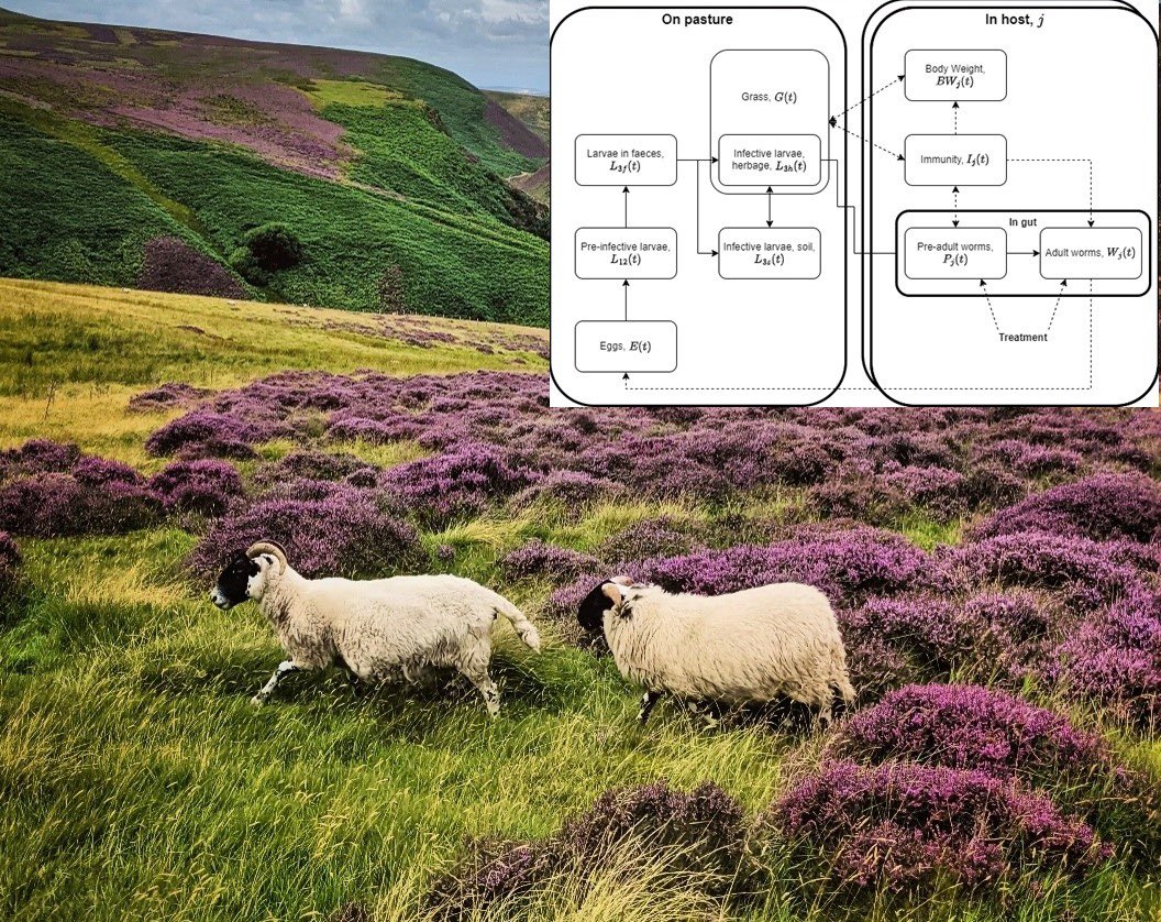 BioSS (@biosscotland) on Twitter photo 🚨#PhD opportunity!🚨
We are looking for a PhD student to work on modelling anthelmintic resistance in sheep flocks, working with our <a href="/DA_Ewing/">David Ewing</a>, and supervisors at <a href="/MoredunComms/">The Moredun Foundation</a> & <a href="/EdinburghUni/">The University of Edinburgh</a>.
📆Deadline: 17th Jan
More info: bioss.ac.uk/vacancies/furt… 🚨#PhD opportunity!🚨
We are looking for a PhD student to work on modelling anthelmintic resistance in sheep flocks, working with our <a href="/DA_Ewing/">David Ewing</a>, and supervisors at <a href="/MoredunComms/">The Moredun Foundation</a> & <a href="/EdinburghUni/">The University of Edinburgh</a>.
📆Deadline: 17th Jan
More info: bioss.ac.uk/vacancies/furt…