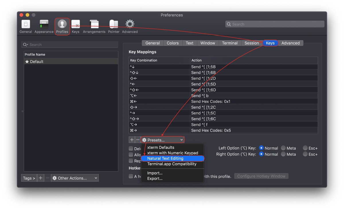 chuhlomin's tweet photo. @swyx @subluminary Also recommend Natural Text Editing in iTerm2 https://t.co/0kcYo1xpQM