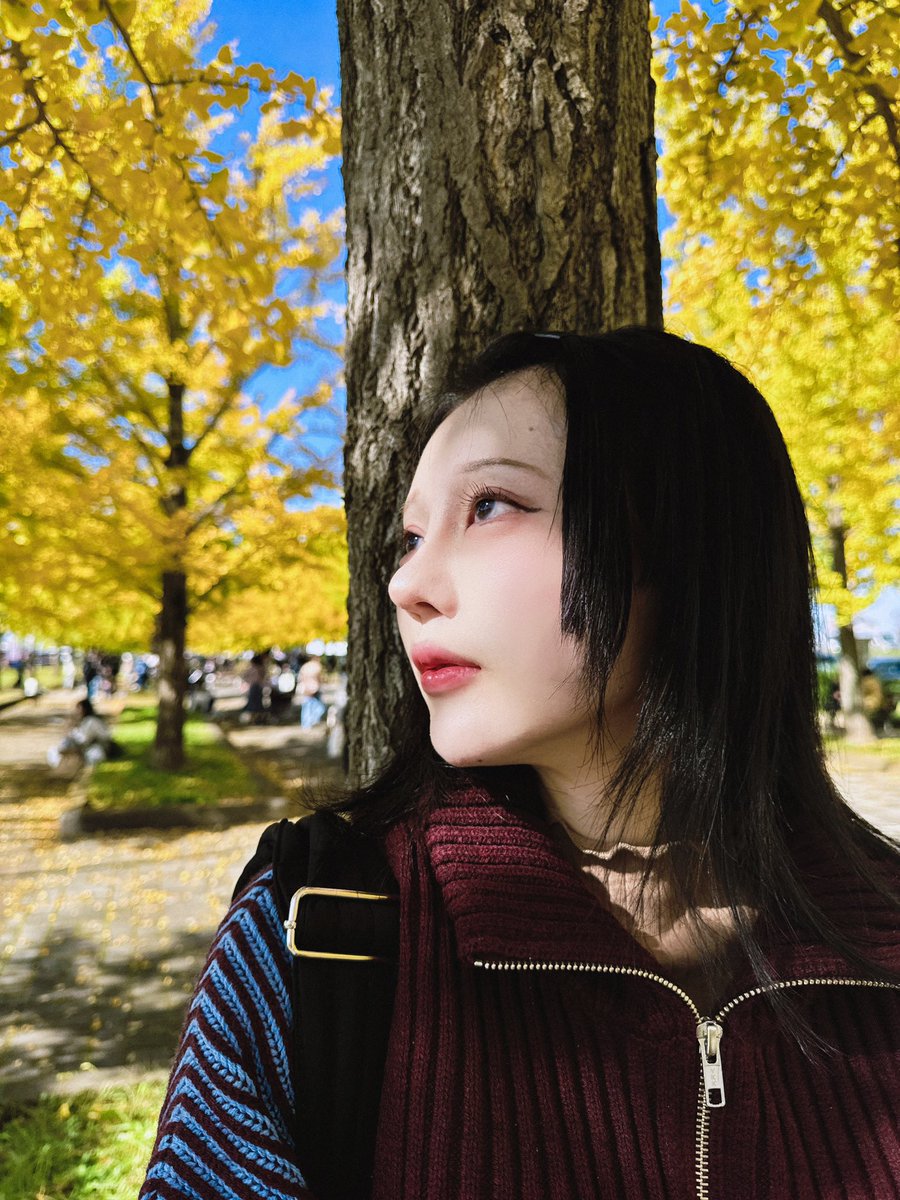 suichofu's tweet photo. https://t.co/58P0bB7n4p
