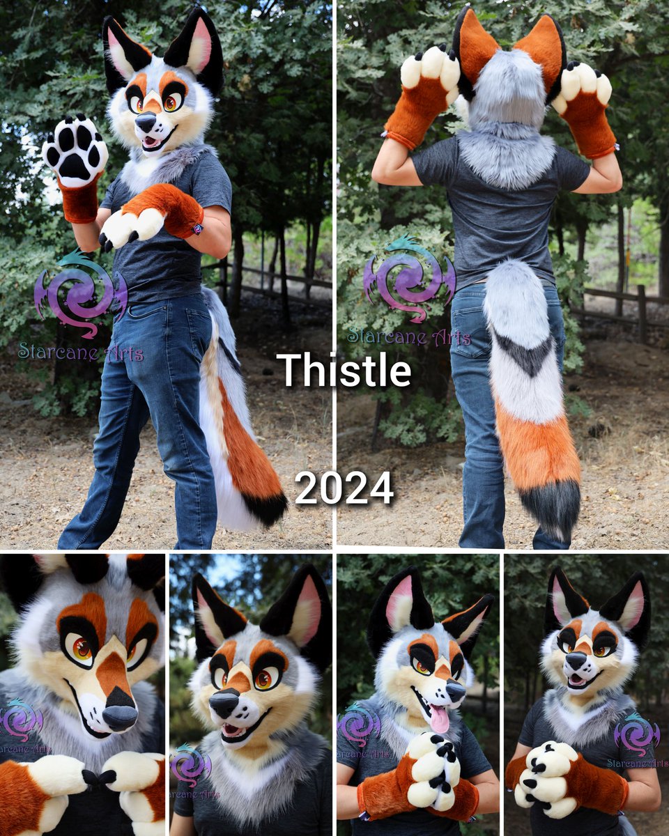 Who's that? It's our 7th fursuit from this year: Thistle the Coyote!

This was an adoptable suit that we made who found a home at AFC this year 🥰

#furry #fursuit
