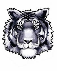 All-Ohio High School Hoops Showcase tweet media