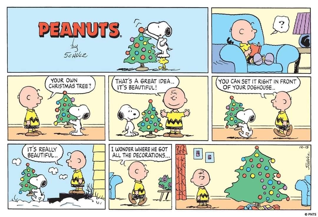 Daily Snoopy (@dailysnoopys) on Twitter photo 