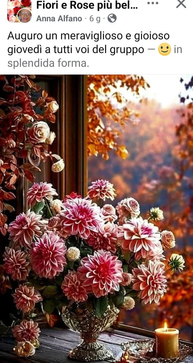 LambertiAnna2's tweet photo. Una fusione di colore interno/esterno. #Dalie.
Facebook. Vedi credit. https://t.co/bviFFUyqC0