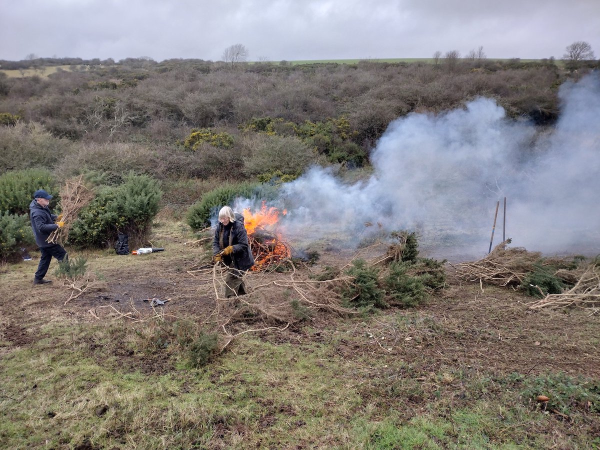 Debbie Alston tweet media