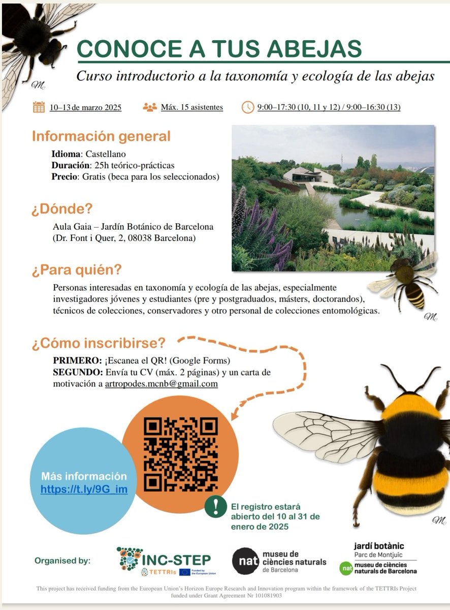No te pierdas este interesante curso de taxonomía y ecología de abejas que Óscar Aguado y yo mismo impartiremos en Barcelona del 10 al 13 de marzo de 2025. Puedes registrarte a partir del 10 de enero.