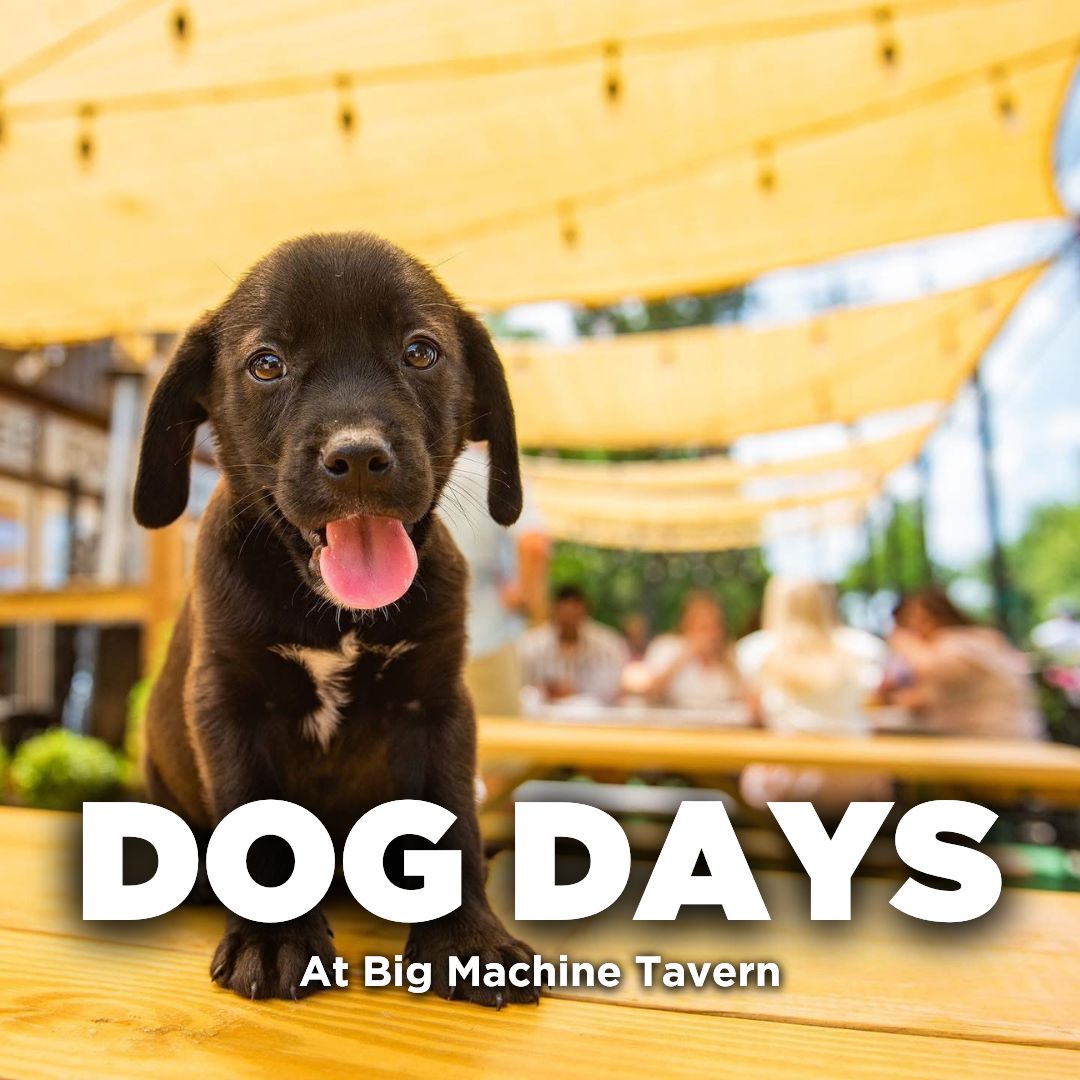 🐶More Dog Days at Big Machine Tavern! 

🐾Tag us and see your furry friend on our page!