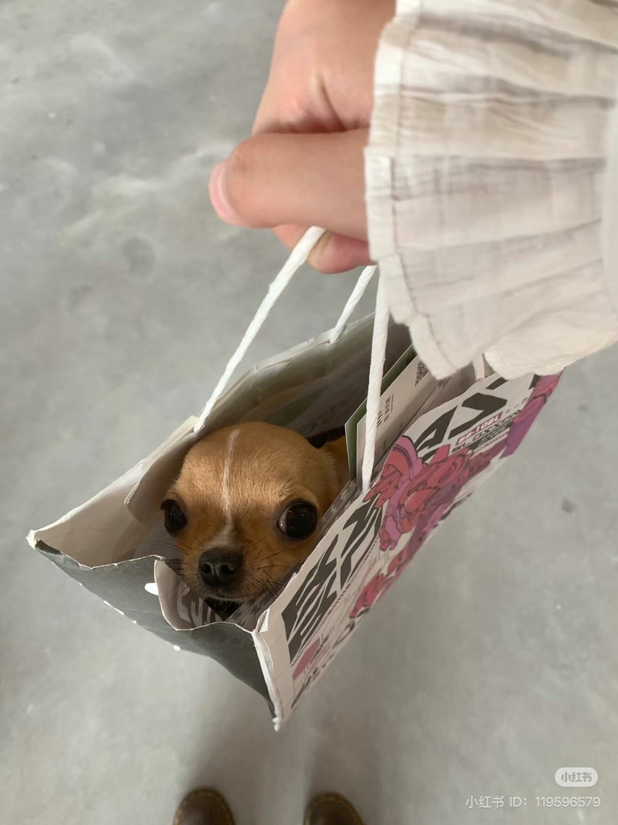 แอบเอาพี่จั๊มไปโยงเยียน