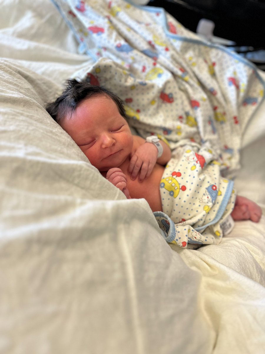 Scott Salmon tweet media