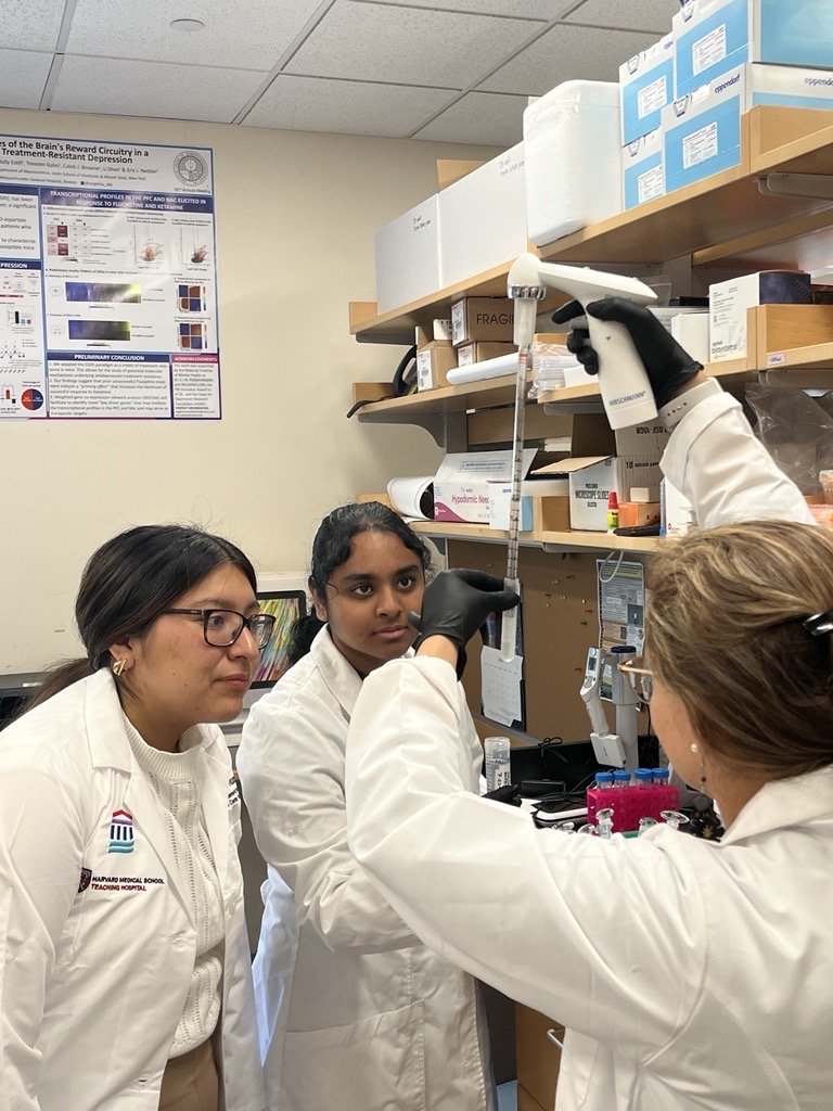 Dr. Angélica Torres-Berrío 🇨🇴👩🏻‍🔬🧠🧬🚴🏻‍♀️ tweet media