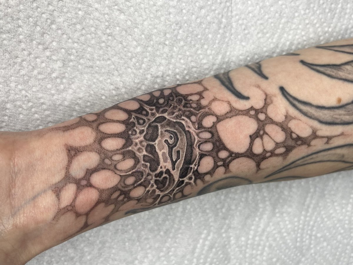 Soooo i did a thing
My tattoo artist is honestly the best this is crazy
#Arcane #jaycetalis