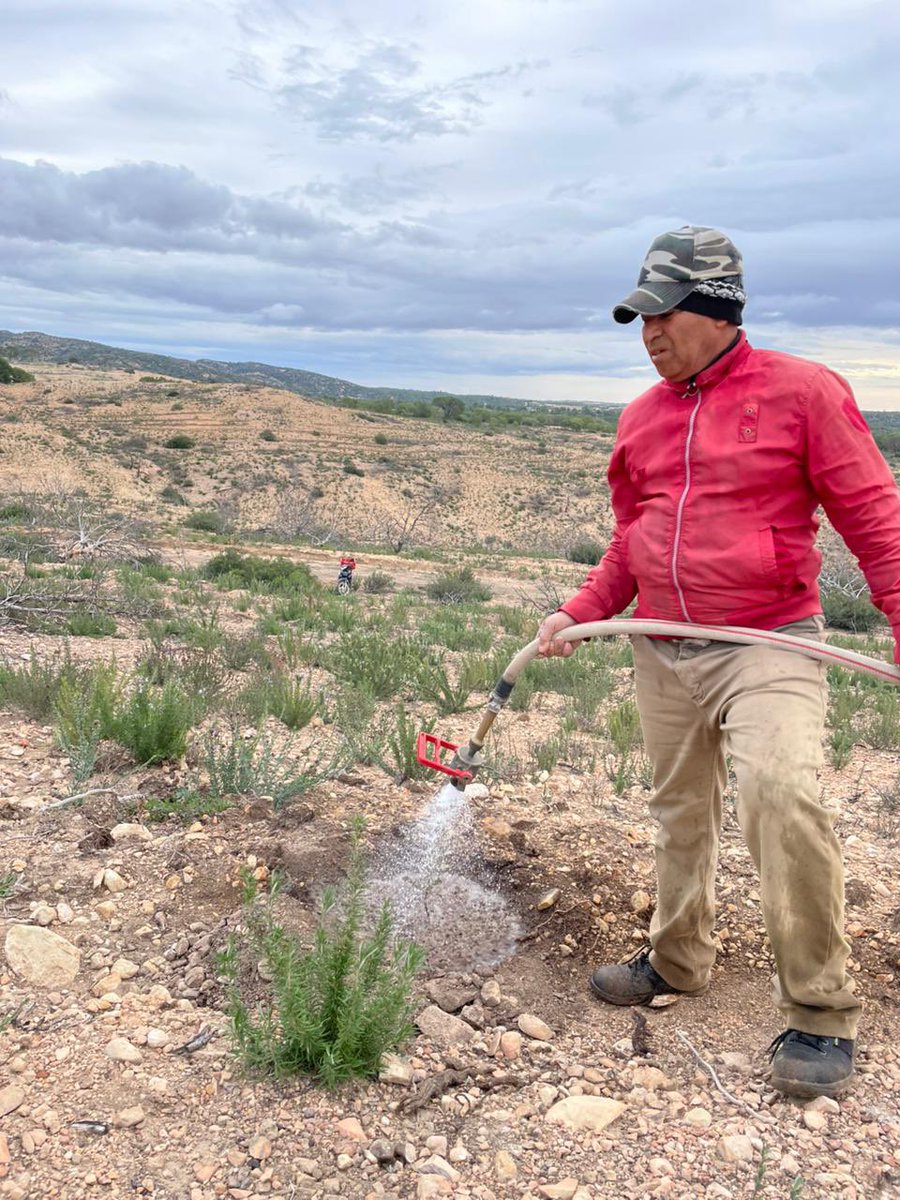 تم إنهاء غراسة 6000 شجرة من  الخروب  و الصنوبريات في  إطار  برنامج عمليات التشجير  بولاية زغوان  و ذلك بغراسة  3200 شجرة إضافيّة.
 كما ستكون لنا عديد العمليّات في هذا الإطار. 
كل الشكر ل @teleperformance_tunisie.🌲
#reboisement #zaghouan #El_Fahs #trees #TounesCleanUp #soligreen