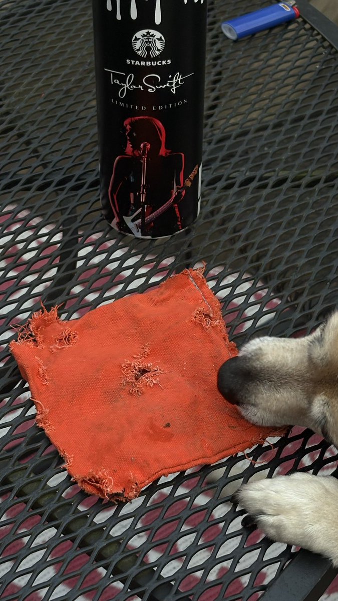 Found out what this 🧡was😂squirrel 🐿️stole my corn 🌽 hole 🫘 beanbag out dahh shed..!! Sal wants it..!!??🫶🏻🫶🏻