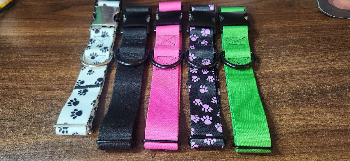 Carolina Critters tweet media