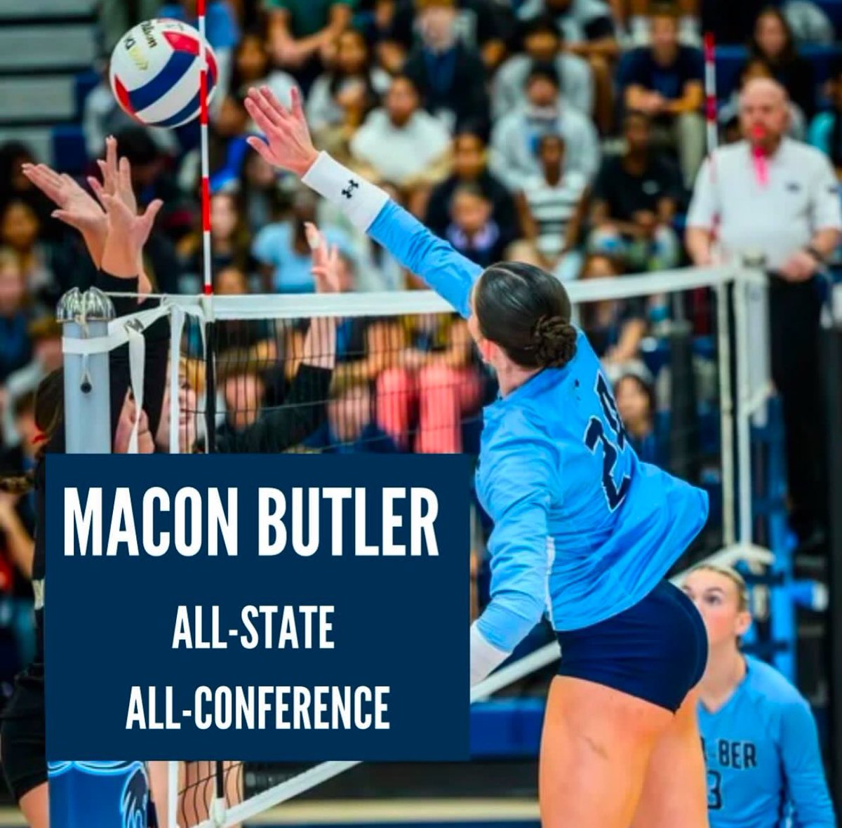 Har-Ber Wildcat Volleyball tweet media