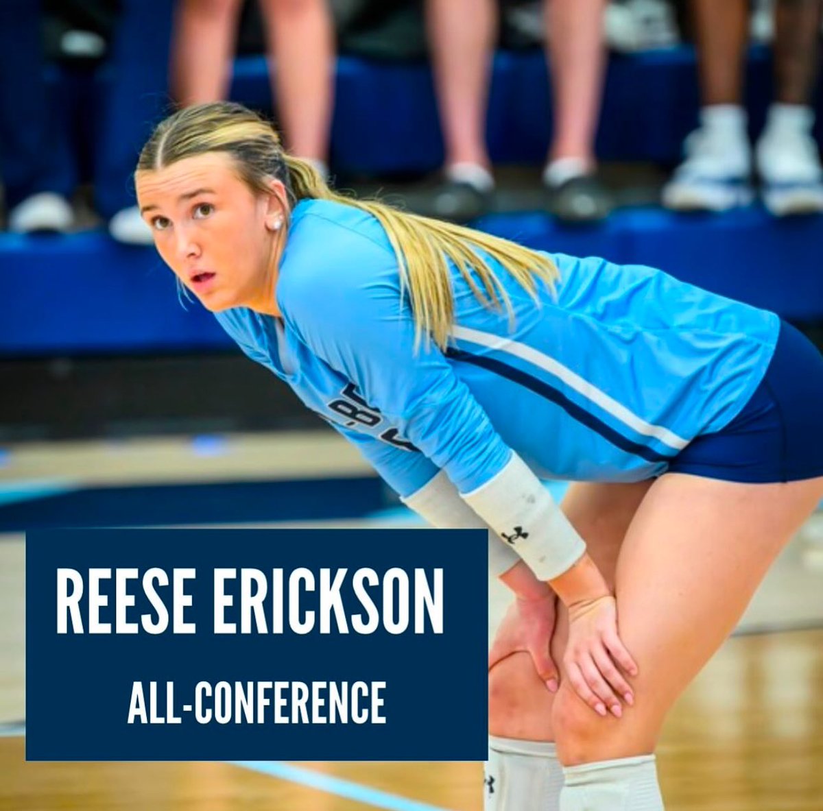 Har-Ber Wildcat Volleyball tweet media