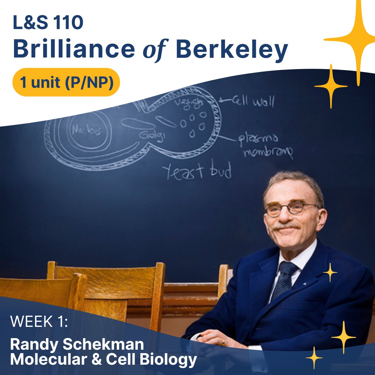 Excited to see the set of 28 speakers for the 2025 Spring Semester offering of the Brilliance of Berkeley Course. This 1-unit course is open to all students with in-person lectures on Fridays from 12-2 in Wheeler Auditorium <a href="/UCBerkeley/">UC Berkeley</a> 

2ly.link/2217X
