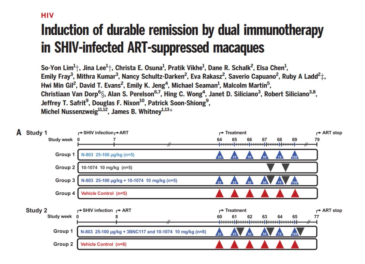 Sarah Ross (@sarah_h_ross) on Twitter photo From Feb '24: A treatment combining a soluble IL-15 superagonist with broadly neutralizing antibodies against the HIV-1 envelope protein induced long-term viral control in rhesus macaques infected with SIV-HIV.
buff.ly/3ZZdYY4
#Immunology #HIV <a href="/ScienceMagazine/">Science Magazine</a> From Feb '24: A treatment combining a soluble IL-15 superagonist with broadly neutralizing antibodies against the HIV-1 envelope protein induced long-term viral control in rhesus macaques infected with SIV-HIV.
buff.ly/3ZZdYY4
#Immunology #HIV <a href="/ScienceMagazine/">Science Magazine</a>
