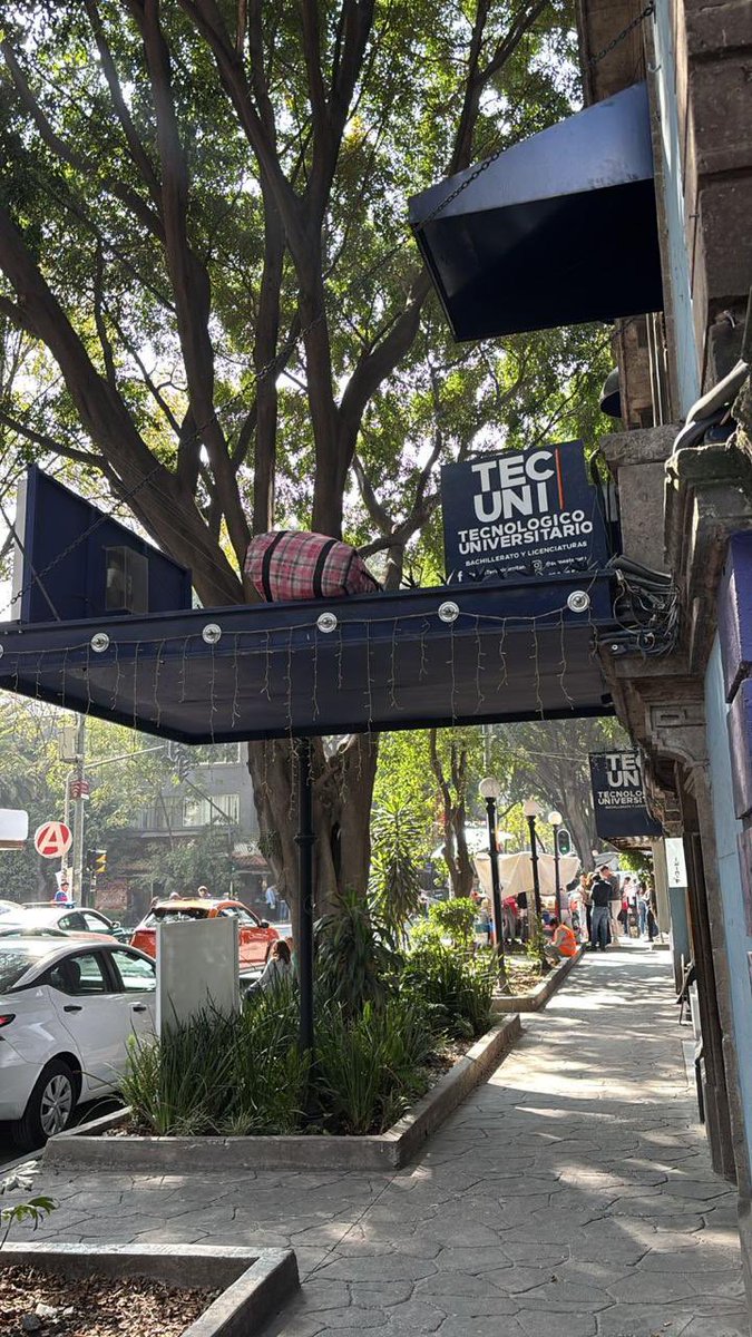 VecinosDeLaJuarez tweet media