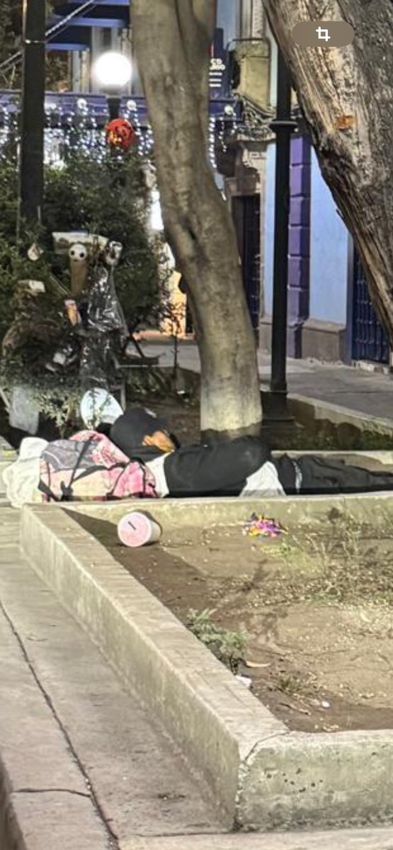 VecinosDeLaJuarez tweet media