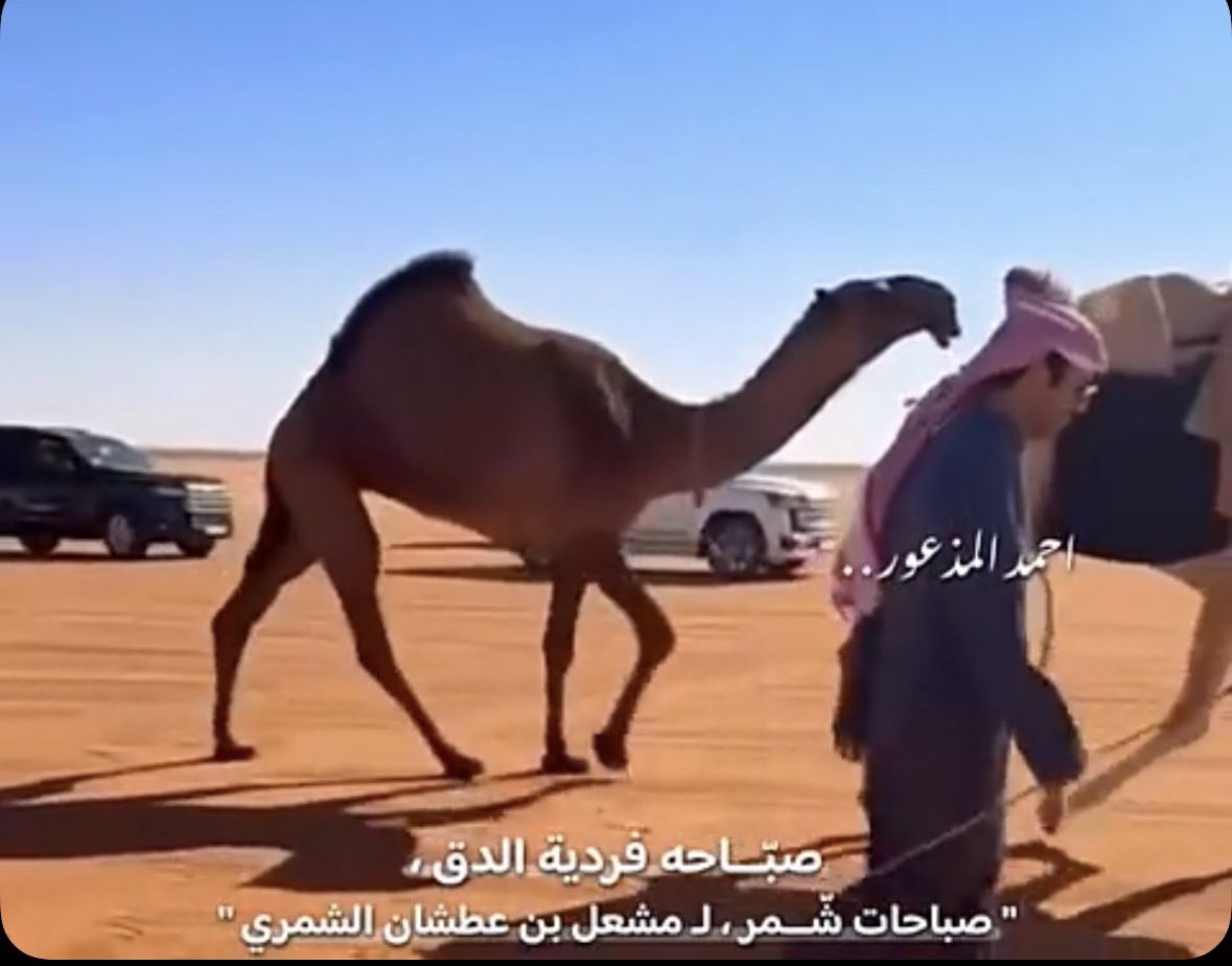 اسقيتنا يابن عطشان الله يسقيك من زمزم،
عز ياااامال العز. ناااموس ياشمر ناموس👏🏻👏🏻👏🏻