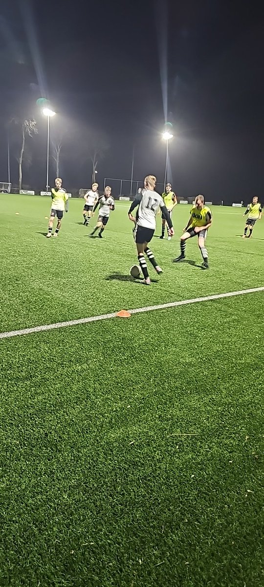 Minne S. Bouma tweet media