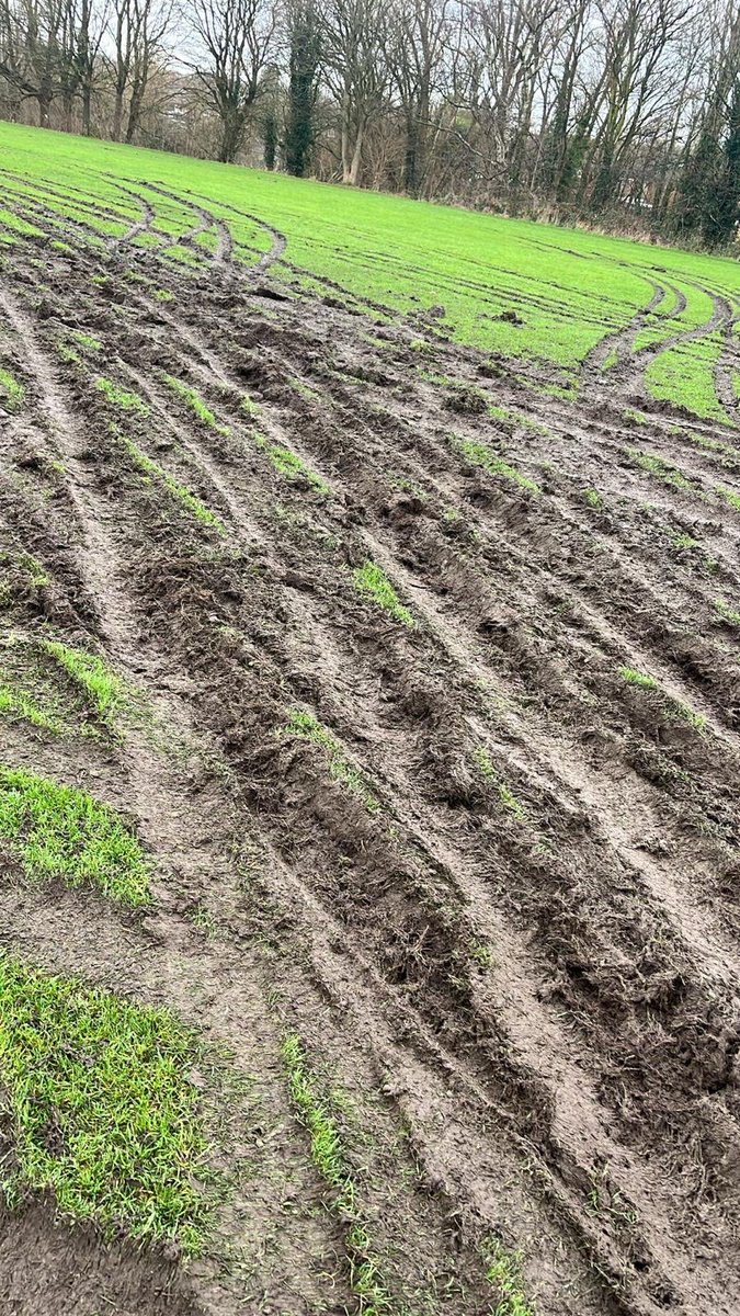 Bustleholme FC tweet media