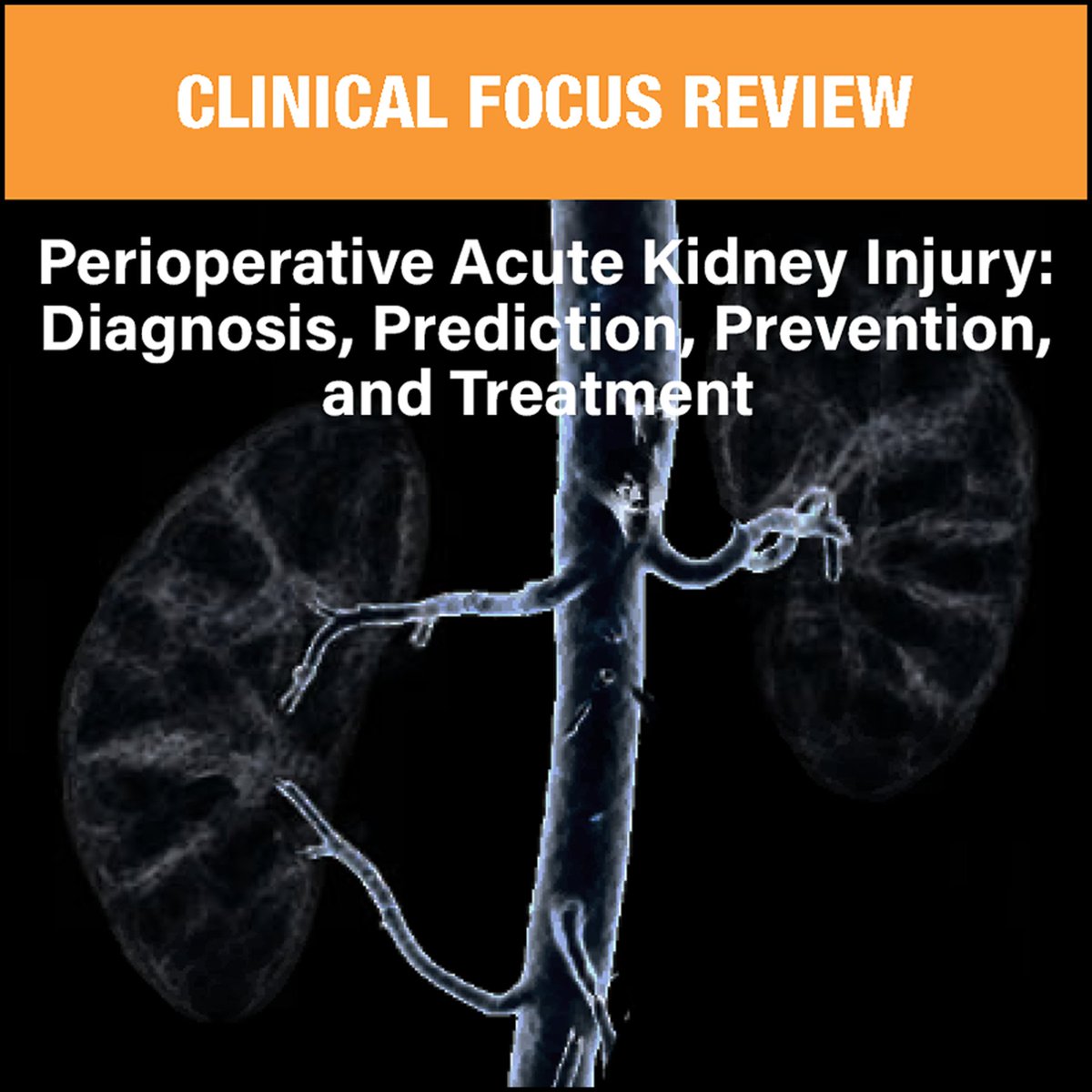 In a new Clinical Focus review, Douville et al. discuss acute kidney injury in the perioperative setting, the epidemiologic burden, procedure-specific risk factors, principles of management, and areas of ongoing controversy and research: ow.ly/Lrvm50UsQYV