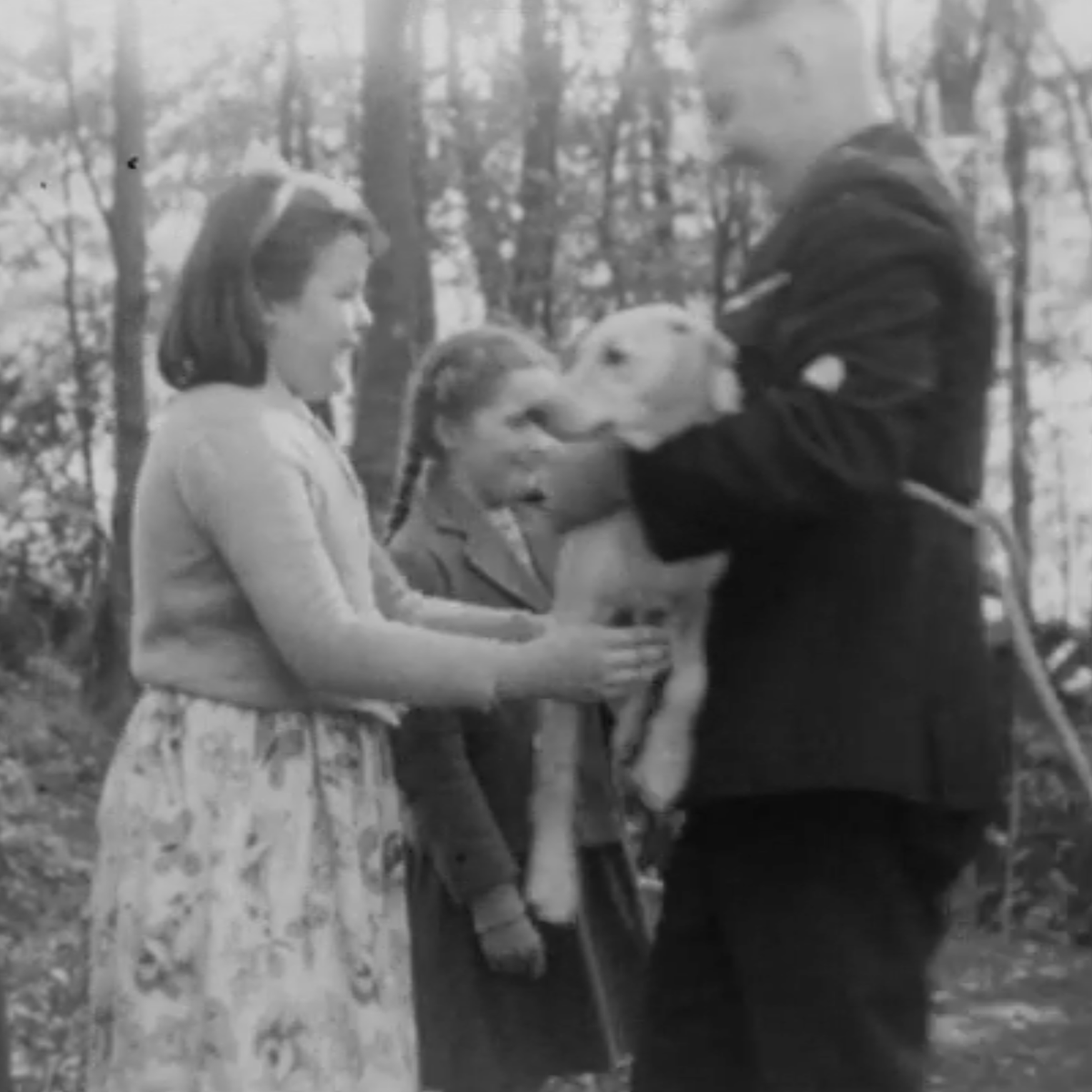 ScottishSPCA's tweet photo. 🎉 Today, we’re celebrating an incredible milestone – 185 years of protecting and rescuing Scotland’s animals! 🐾

From our humble beginnings in 1839 to becoming Scotland’s leading animal welfare charity, together, we are the rescue. 💜 https://t.co/ancthXaMj0