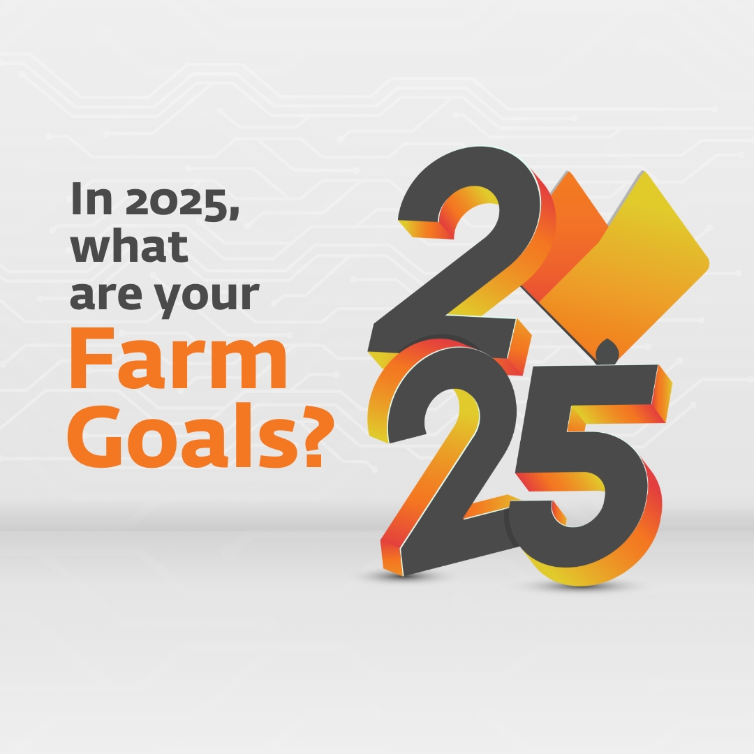 GrainFox tweet media