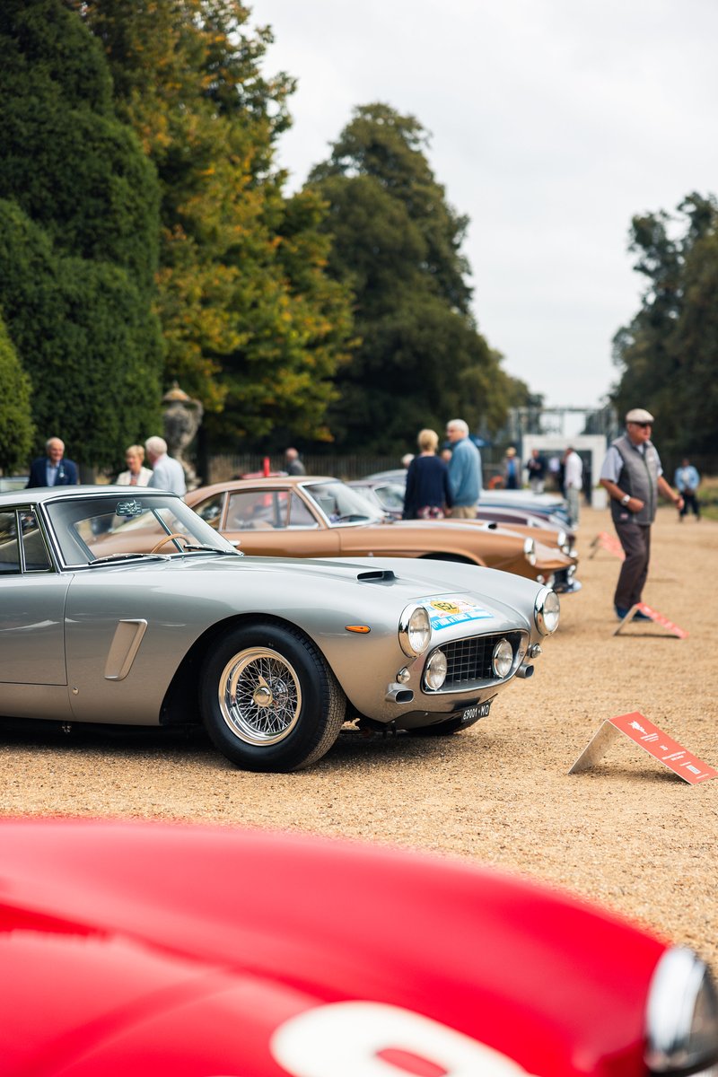 Concours of Elegance tweet media