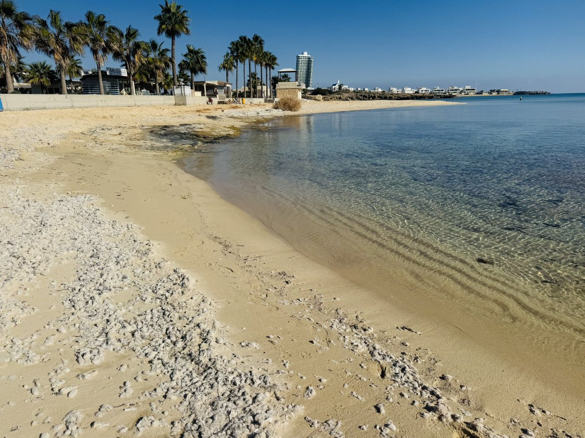 IojeniBel's tweet photo. #AgiaThekla #CyprusBeach #Sea #SunReflection #WaterReflection #Beach #Cyprus #AyiaNapa 18.12.2024 #Sotira #island #SeaReflection #Travel #AyiaNapa2024 #beachvibes #LoveCyprus #travelblogger #VisitCyprus #IojeniBel https://t.co/BggRq4nxPa