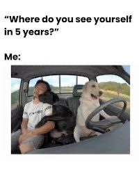 OptimusDogGuy's tweet photo. Friend asked me where do you see yourself in 5 years holding $DOG .. say no more !
#DogIsLife https://t.co/Mg02aj40Od