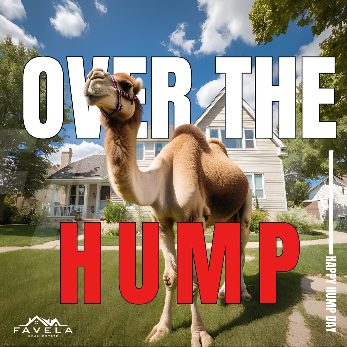 FavelaRealEst's tweet photo. 🐪 Hump Day Motivation! Midweek blues? Turn them into real estate dreams! Whether buying, selling, or just planning, Favela Real Estate is here to guide you. 

📞 219-955-0100 | https://t.co/zM7iU7eCb5
#FavelaRealEstate #HumpDayMotivation https://t.co/hLvOorduWZ