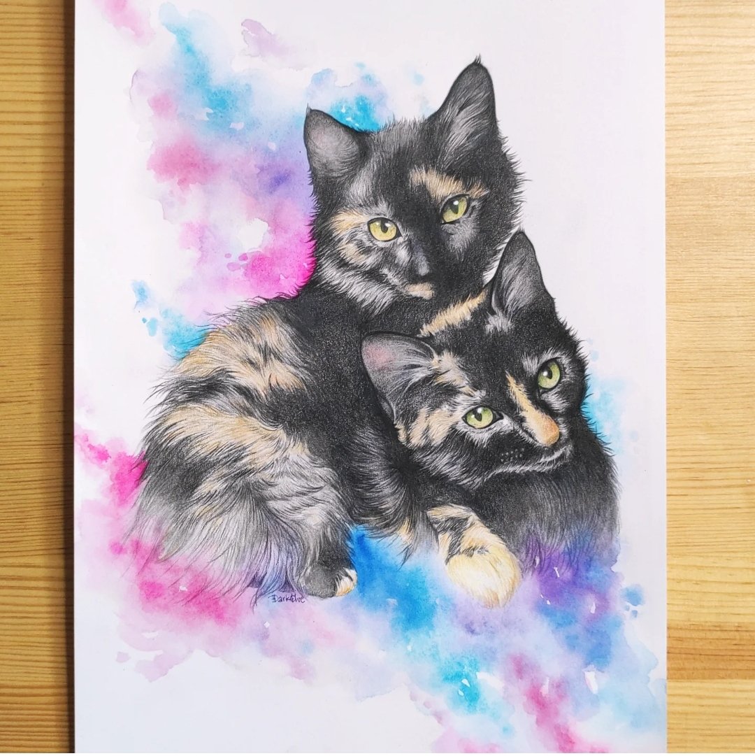 Os dejo por aquí este retrato de estas dos gatitas preciosas #cat #catlover #portrait #catportrait #watercolor #pencil #pencildrawing #darkelvestyle