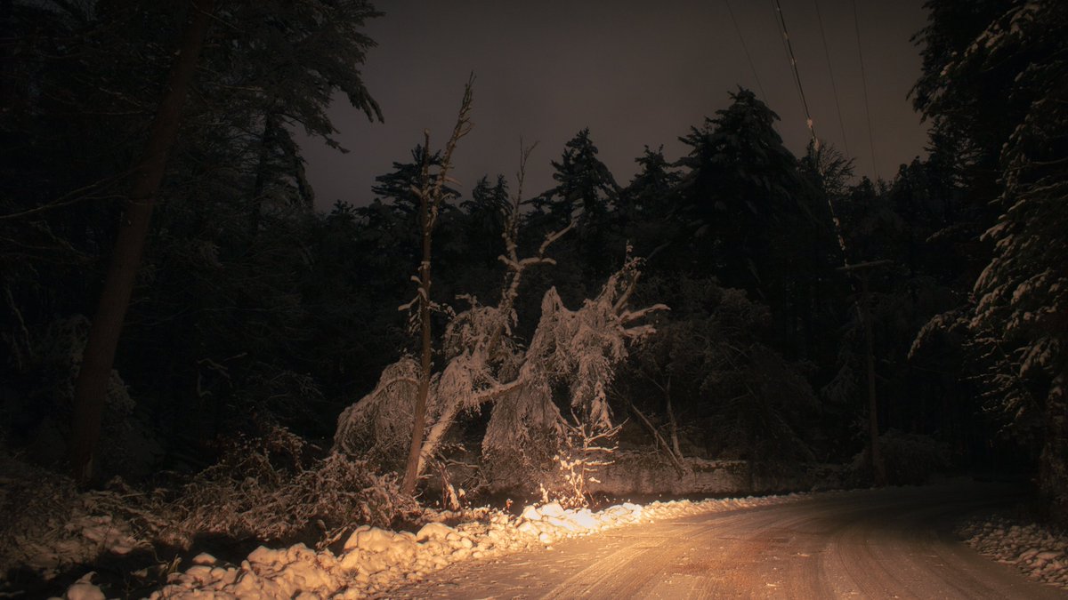 Lonely winter nights.