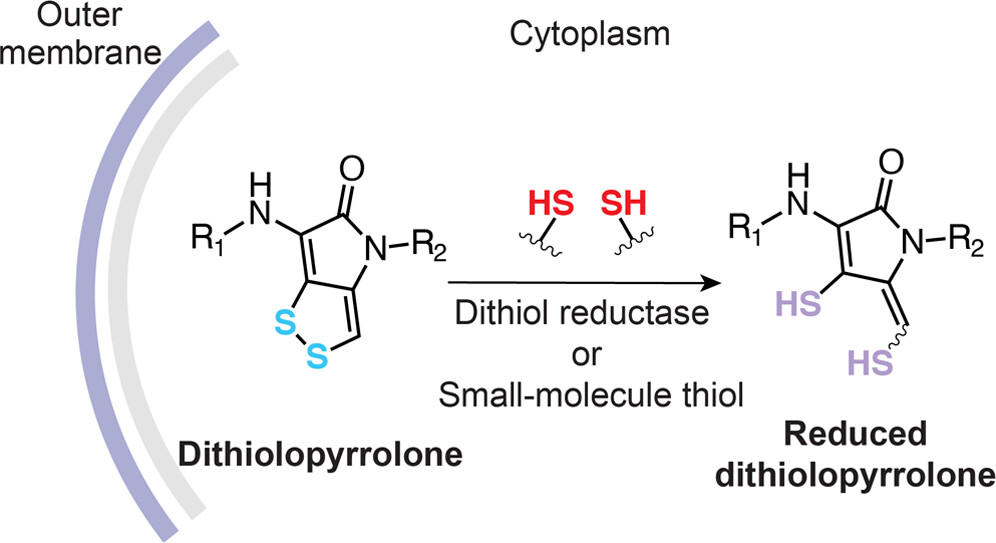 Biochemistry (@biochemistryacs) on Twitter photo "In this work we investigate the intracellular activation of the dithiolopyrrolones and their resistance mechanisms in bacteria."
From Li and colleagues <a href="/uncchemistry/">UNC-Chapel Hill Chemistry</a>
pubs.acs.org/doi/10.1021/ac…
#naturalproducts
#resistance
#prodrug
#redox "In this work we investigate the intracellular activation of the dithiolopyrrolones and their resistance mechanisms in bacteria."
From Li and colleagues <a href="/uncchemistry/">UNC-Chapel Hill Chemistry</a>
pubs.acs.org/doi/10.1021/ac…
#naturalproducts
#resistance
#prodrug
#redox