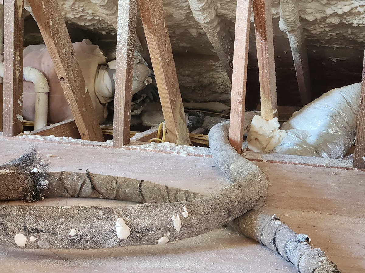 No tough spots; spray everything &amp; seal the buildings envelope.